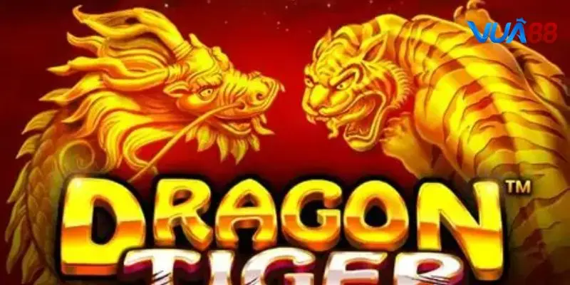 Cách Chơi Rồng Hổ Không Bị Thua - Bí Quyết Nên Biết 4 Mẹo chơi rồng hổ